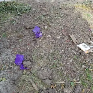a purple trash can on the ground