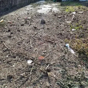 If you want your yard to look like this, use Kozy Lawn Care.