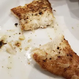 Smallest Flounder we have ever seen