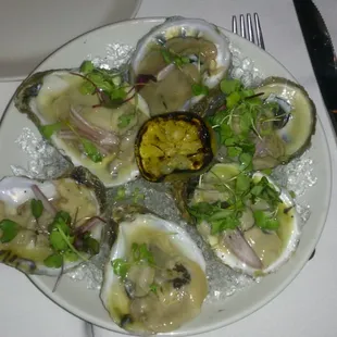 Oysters