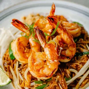 Pad Thai prawns - Traditional Pad Thai with rice noodle , bean sprout, peanut, chive, tamarind sauce