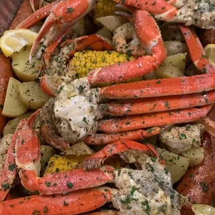 mussels, shellfish, food, oysters and mussels, oysters