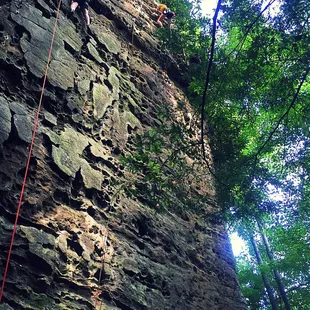 I love the mountains; they make one feel small.