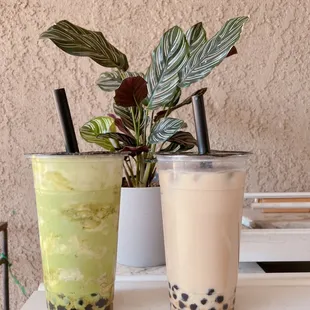 Matcha Storm and Brown Sugar Milk Tea