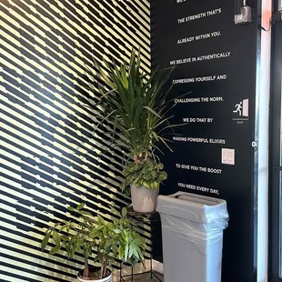 a plant in a pot next to a trash can