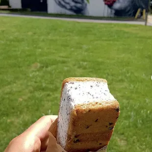 Treat yourself to a nightingale ice cream sandwich!