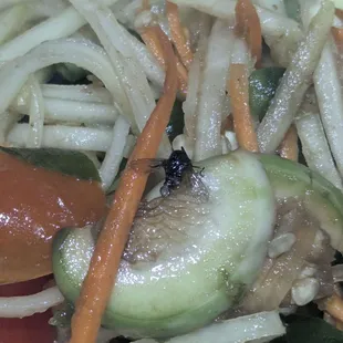 Insect in papaya salad