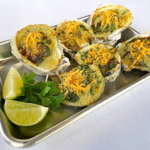 oysters rockefeller