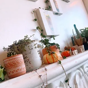 a mantle with potted plants