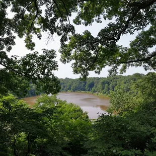 a view of a lake through the trees