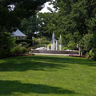 a fountain in the center of the garden