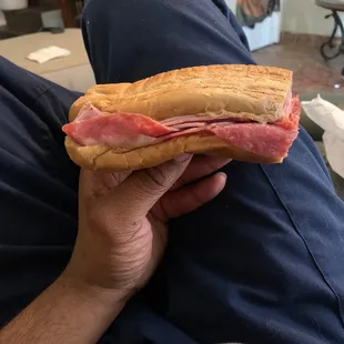 a hand holding a sub sandwich