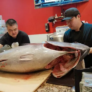 Blue Fin Tuna