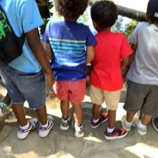 Field trip to the zoo