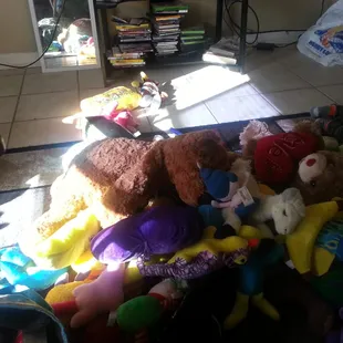 My aftermath of a loving filled mardi gras from truck floats