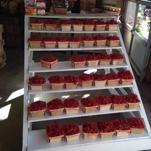 Fresh picked berries for sale in the market