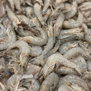 Large Gulf White Shrimp Houston