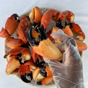 Stone Crab Claws Houston