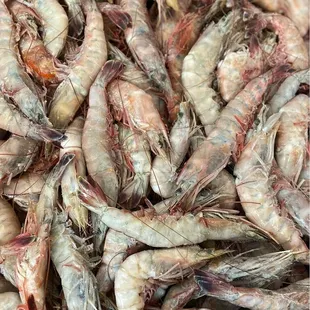 13/15 ct. Head-On Shrimp