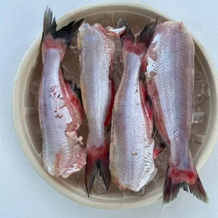 Collarbone Dressed Catfish