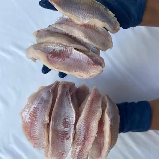 4-6 oz. Fresh Catfish Fillets