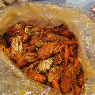 1 lb. Live Crawfish