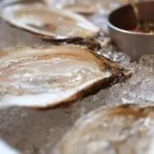 shellfish, mussels, oysters and mussels, food, oysters