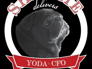 Shellie Delivers
