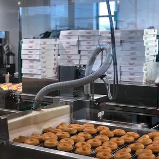 donuts on a conveyor belt