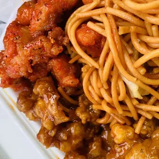 a closeup of the chicken and noodles