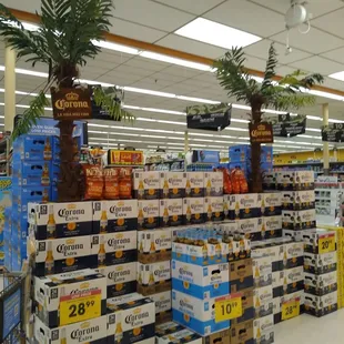 Look at those Palm Trees! Lol