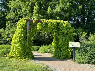 Boone County Arboretum