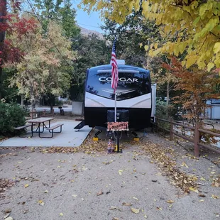 Veterans  day weekend