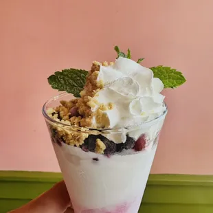 Berries Coppa frozen Yogurt