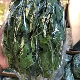 Thai Harry basil