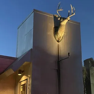 a deer head mounted on the side of a building