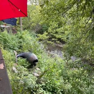 Creek view and fish sculpture