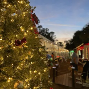 Beautiful sunset over the park