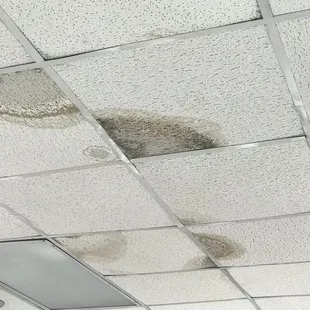Mold?