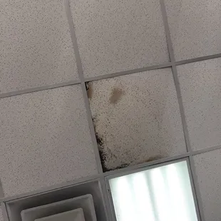 One of many molded ceiling tiles