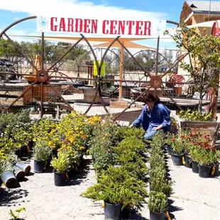Garden center is stocked with durable plants for our beautiful area!
