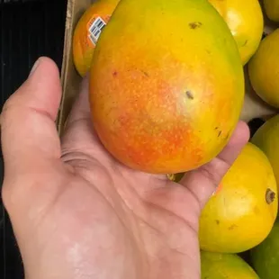 Sweet mangoes