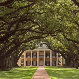 Oak Alley Plantation