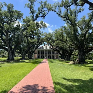 Oak Alley