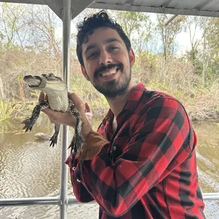 Baby gator on swamp tour