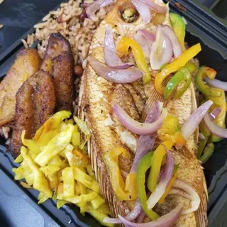 Red Snapper