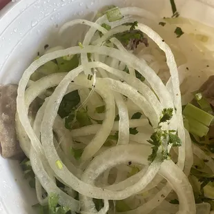 Too many onions in the pho!