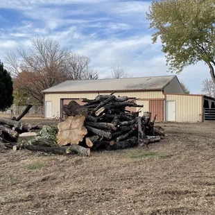 Stack of trees cut down