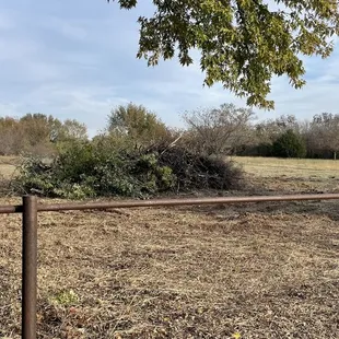 Burn pile they created for us.