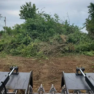 a large pile of trees in the background